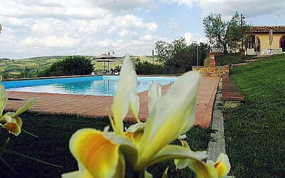 das Schwimmbad