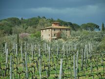 Unterkunft:&nbsp;Villa Margherita