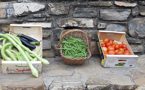 Casa Ilaria - Diano Marina: Essen, Zutat, Natural Foods, Holz, Öffentlicher Raum, Gras