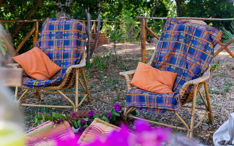 Terre Di Bea Cottage By The Sea Cefalu': Stuhl, Textil, Möbel, Design, Muster, Baum, Freizeit, Garten, Hinterhof, Pflanze