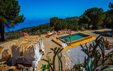 Terre Di Bea Cottage By The Sea Cefalu': Himmel, Pflanze, Wasser, Azurblau, Natürliche Landschaft, Baum, Schwimmbad, Arecales, Gartenmöbel, Biome