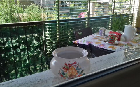 Corallo: Tabelle, Zuhause, Geschirr, Möbel, Haus, Tasse, Garten, Glas, Servierware, Pflanze