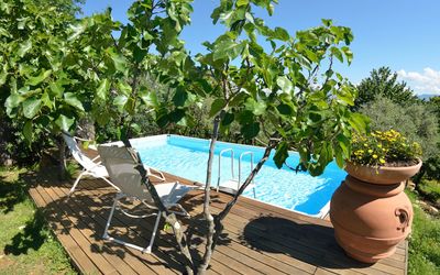 Bettina!: Eigentum, Baum, Pflanze, Grundeigentum, Freizeit, Urlaub, Haus, Schwimmbad, Blume, Estate