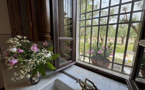 Casa Romana: Glas, Blumentopf, Eisen, Zimmerpflanze, Daylighting, Balkon