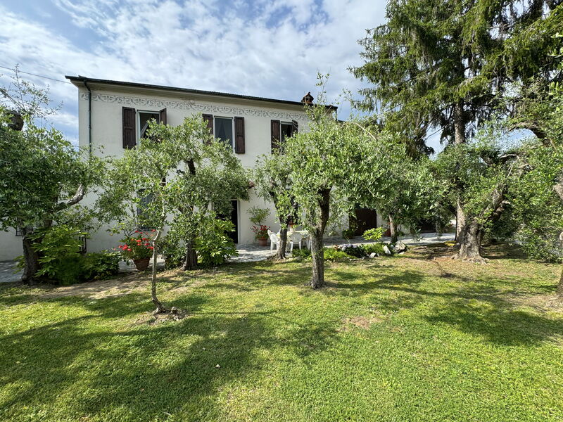 Casa Romana