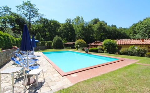 Villa le Balze: Pflanze, Himmel, Eigentum, Schwimmbad, Schatten, Baum, Wasser, Stuhl, Gras, Freizeit