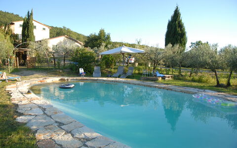 Villa Eleonora: Schwimmbad, Eigentum, Grundeigentum, Freizeit, Estate, Wasser, Resort, Haus, Urlaub, Baum