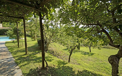 Villa Magnolia: Baum, Natur, Natürliche Landschaft, Grün, Vegetation, Gras, Natürlichen Umgebung, Naturschutzgebiet, Ast, Gehölz