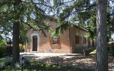 Garden and outdoor view