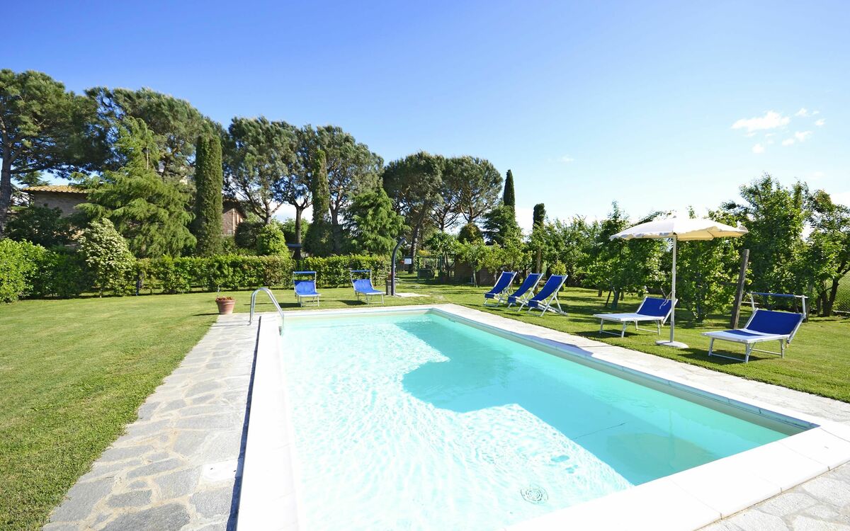 Swimming pool and garden