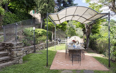 Veranda and garden