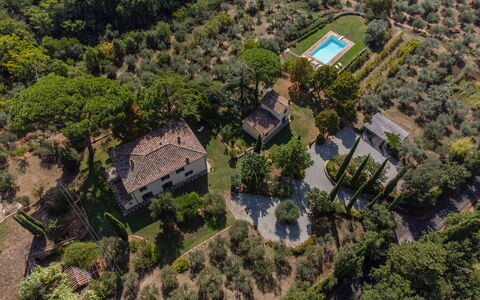 Villa San Pietro: Pflanzengemeinschaft, Pflanze, Grundstueck, Gebäude, Baum, Urban Design, Natürliche Landschaft, Nachbarschaft, Wohngebiet, Ländliches Gebiet