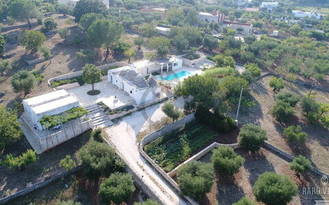 Trullo Oak: Pflanze, Daytime, Gebäude, Baum, Urban Design, Grundstueck, Nachbarschaft, Wohngebiet, Landschaft, Grundeigentum