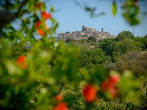 Il Lupinaio 43