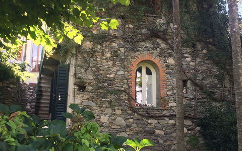 Villa Ghis - Sleeps 16: Vegetation, Haus, Wand, Blatt, Baum, Pflanze, Gebäude, Hütte, Die Architektur, Bogen
