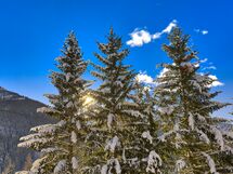 The Twins Apartment - Champoluc