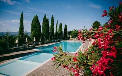 Fattoria Fronzano: Wasser, Blume, Himmel, Wolke, Pflanze, Eigentum, Schwimmbad, Baum, Natürliche Landschaft, Arecales