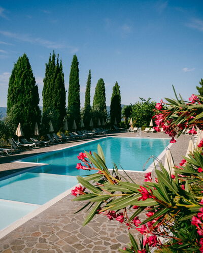 Fattoria Fronzano: Wasser, Blume, Himmel, Wolke, Pflanze, Eigentum, Schwimmbad, Baum, Natürliche Landschaft, Arecales
