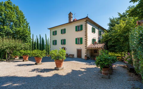 Palazzo Rosadi: Strauch, Zuhause, Estate, Garten, Landscaping, Villa, Garten, Blumentopf, Zimmerpflanze, Hazienda