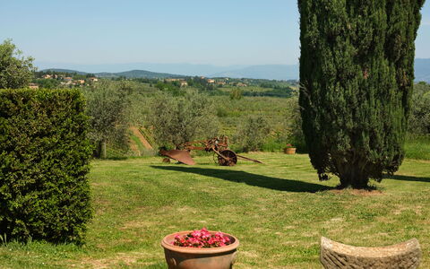 Pozzo Dei Desideri: Pflanze, Himmel, Blume, Pflanzengemeinschaft, Blumentopf, Grün, Natur, Botanik, Natürliche Landschaft, Baum