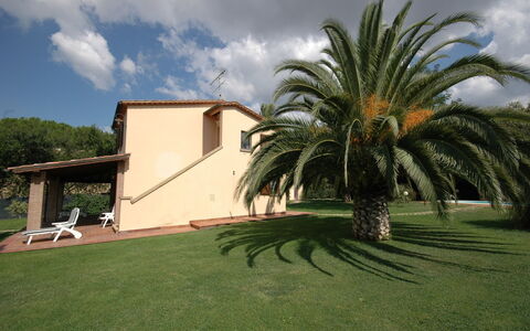 Poderino: Eigentum, Palme, Haus, Gras, Arecales, Baum, Zuhause, Grundeigentum, Babassupalme, Gebäude