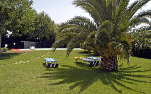 Poderino: Gras, Baum, Rasen, Palme, Fahrzeug, Arecales, Auto, Gehölz, Pflanze, Elaeis