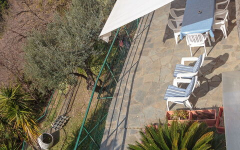 Villa Pia Con Piscina a Recco: Vegetation, Wand, Die Architektur, Botanik, Baum, Haus, Pflanze, Dach, Geologisches Phänomen, Urlaub