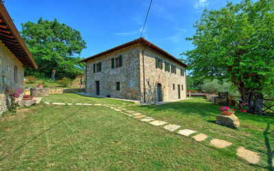 Querciolaia