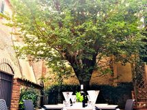 Vista del giardino dalla porta finestra della Taverna .