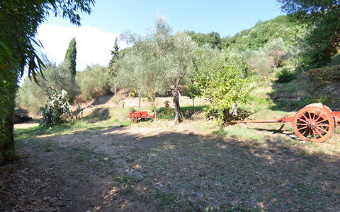 Collina Lagomare: Eigentum, Natürliche Landschaft, Baum, Biome, Ländliches Gebiet, Landschaft, Gras, Pflanzengemeinschaft, Grundstueck, Pflanze