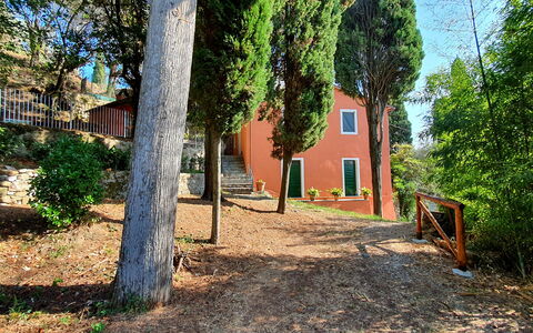 Collina Lagomare: Pflanze, Fenster, Gebäude, Baum, Ast, Holz, Grundstueck, Sonnenlicht, Haus, Strassenbelag