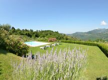 Alle Monache