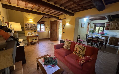 Batticapo di Ilaria: Eigentum, Couch, Tabelle, Möbel, Interior Design, Beleuchtung, Wohnzimmer, Bilderrahmen, Studio Couch, Holz