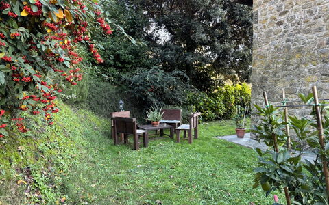 Batticapo di Ilaria: Pflanze, Pflanzengemeinschaft, Blatt, Blume, Natürliche Landschaft, Gras, Baum, Biome, Strauch, Ground