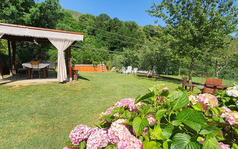 Casa Irene: Blume, Pflanze, Himmel, Botanik, Natur, Blütenblatt, Baum, Natürliche Landschaft, Gras, Landschaft