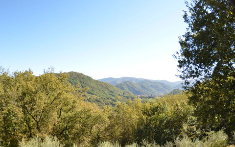 Vignoli: Bergforms, Vegetation, Natur, Natürliche Landschaft, Baum, Himmel, Berg, Wildnis, Natürlichen Umgebung, Hügel