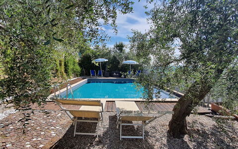 Podere San Martino: Wasser, Schwimmbad, Wolke, Himmel, Schatten, Baum, Pflanze, Natürliche Landschaft, Freizeit, Landschaft