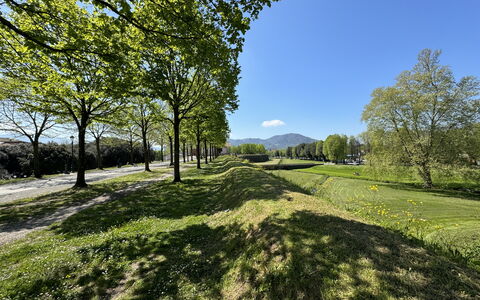 Alle Mura: Grün, Gras, Natur, Natürliche Landschaft, Vegetation, Wiese, Hügel, Einfach, Landschaft, Grundstueck