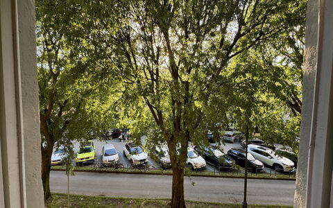 Alle Mura: Fahrzeug, Auto, Baum, Kraftfahrzeug, Rad, Transport, Automobil-Außen