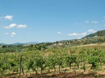 All' Erta