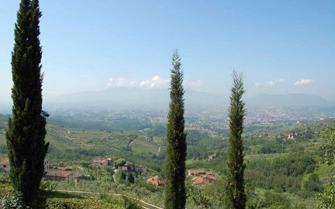 Borgo Antico Paolo: Baum, Bergstation, Vegetation, Tropische Und Subtropische Koniferenwald, Wildnis, Biome, Pflanze, Pflanzengemeinschaft, Wald, Berg