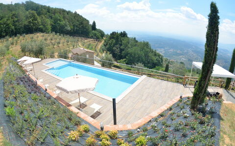 Villa Orchidea: Schwimmbad, Eigentum, Villa, Haus, Grundeigentum, Gebäude, Estate, Urlaub, Wohnung, Freizeit