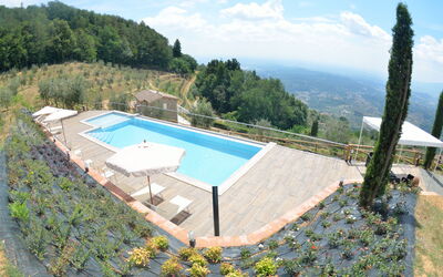 Villa Orchidea - Petrognano, Toskana, Italien