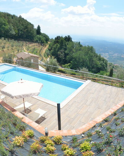 Villa Orchidea: Schwimmbad, Eigentum, Villa, Haus, Grundeigentum, Gebäude, Estate, Urlaub, Wohnung, Freizeit