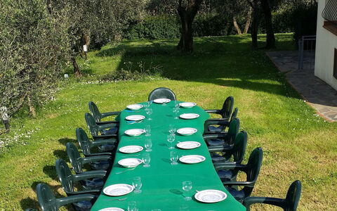 Villa Vaniglia Proprietà: Grün, Gras, Eigentum, Rasen, Tabelle, Baum, Freizeit, Garten, Stuhl, Pflanze