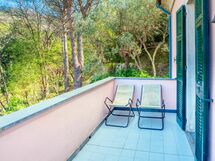 Olivi Del Mesco - Levanto