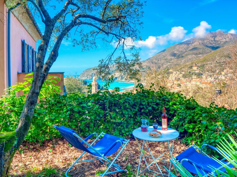 Olivi Del Mesco - Levanto