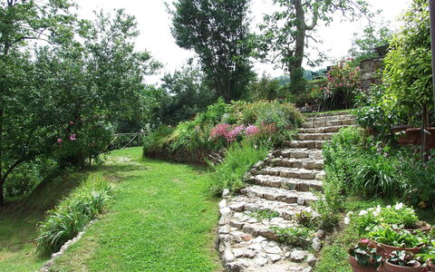 Bottino: Garten, Vegetation, Botanischer Garten, Natürliche Landschaft, Eigentum, Pflanze, Garten, Baum, Botanik, Gras