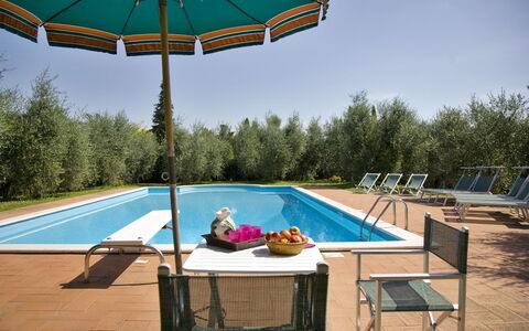 La Fonte: Schwimmbad, Eigentum, Freizeit, Schatten, Sonnenliege, Urlaub, Gartenmöbel, Haus, Tabelle, Möbel