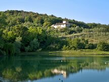 Ricavoli